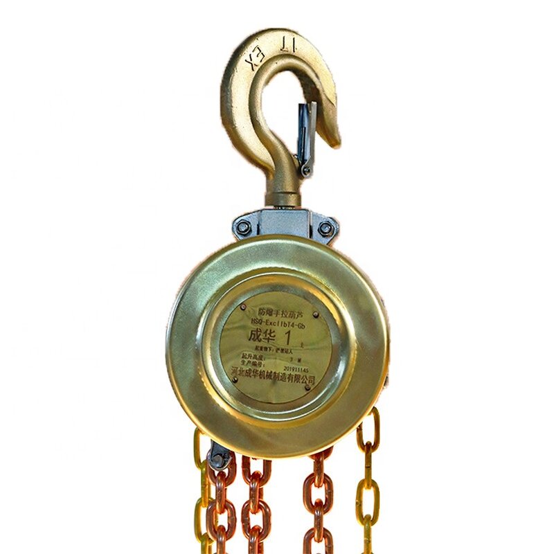 Portable Hoist Manufacturer - 0.5T Mini Inverted Chain Hoist