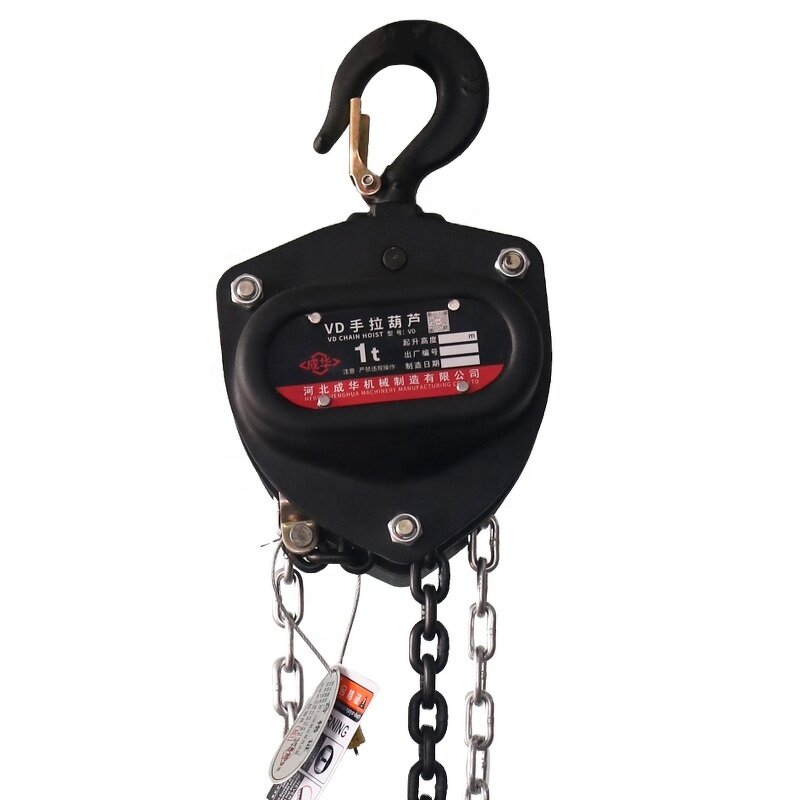 Chain Hoist Factory - 2 Ton VE Type Rotating Hoist