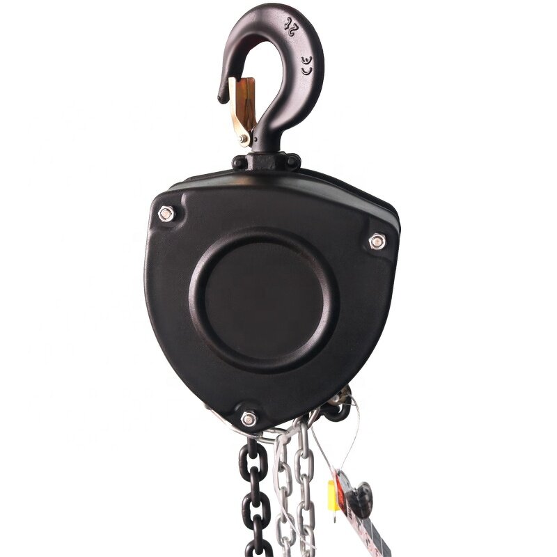 Chain Hoist Factory - 2 Ton VE Type Rotating Hoist