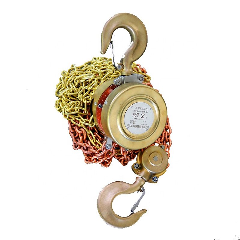 Portable Hoist Manufacturer - 0.5T Mini Inverted Chain Hoist