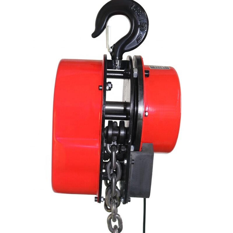 Electric Hoist Supplier - 230kg Small Hoist with Remote