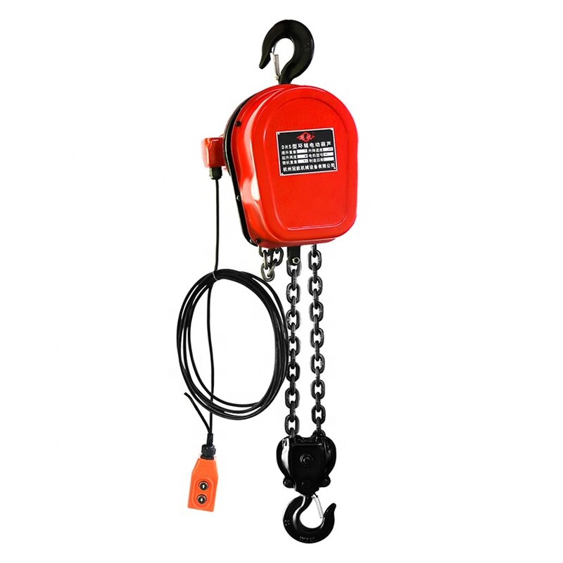 Electric Hoist Supplier - 230kg Small Hoist with Remote