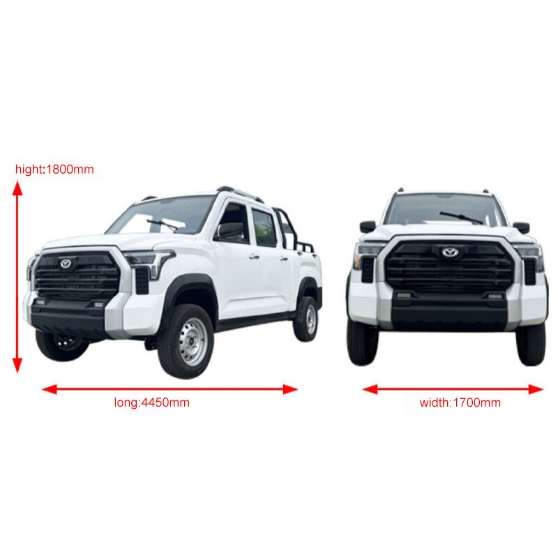 Electric Pickup Truck Factory - 4x4 4-Seater Left Hand