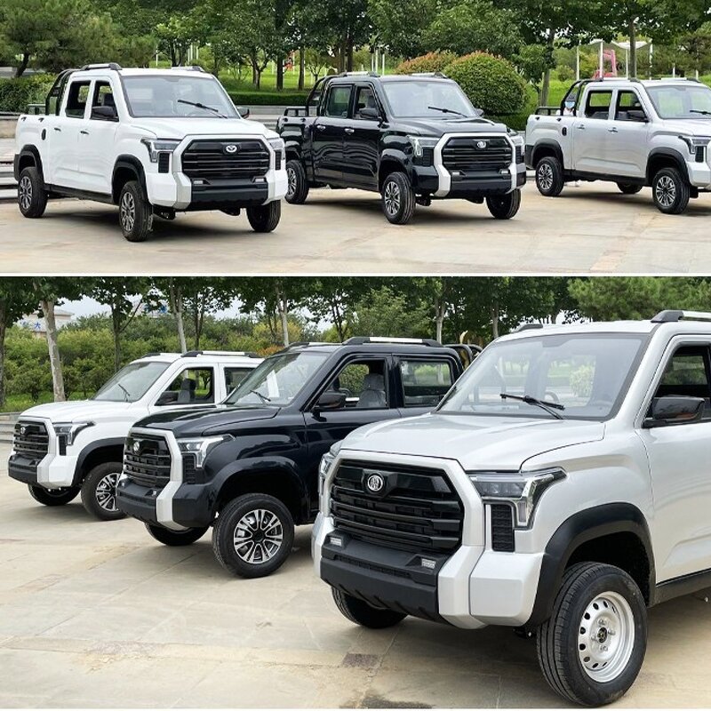 Electric Pickup Truck Factory - 4x4 4-Seater Left Hand