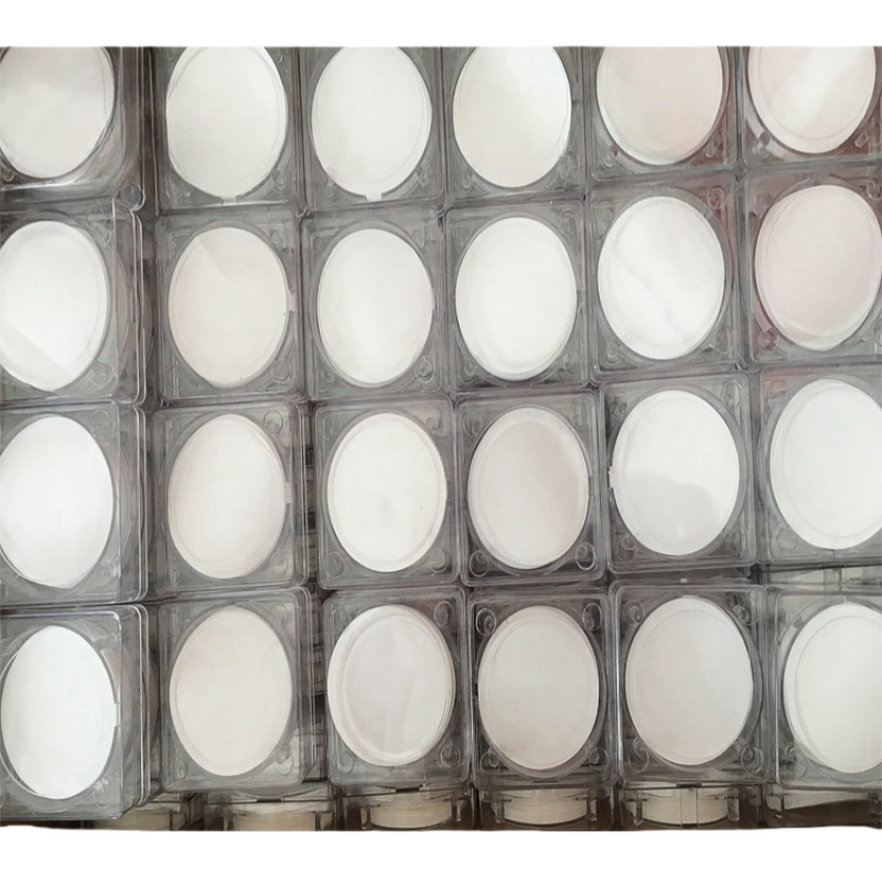 Microporous Filtration Membrane Manufacturer - OEM 0.45um 47mm SDI Test