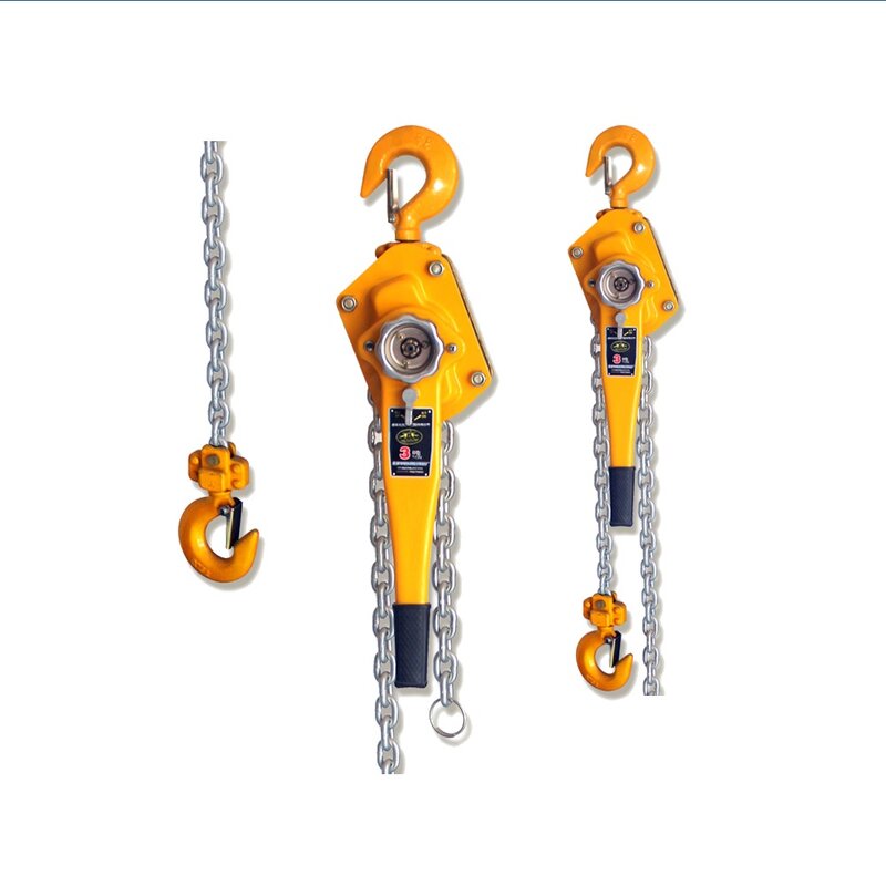 Chain Hoist Factory - 3T Hand Ratchet Lever Block with G80 Chain