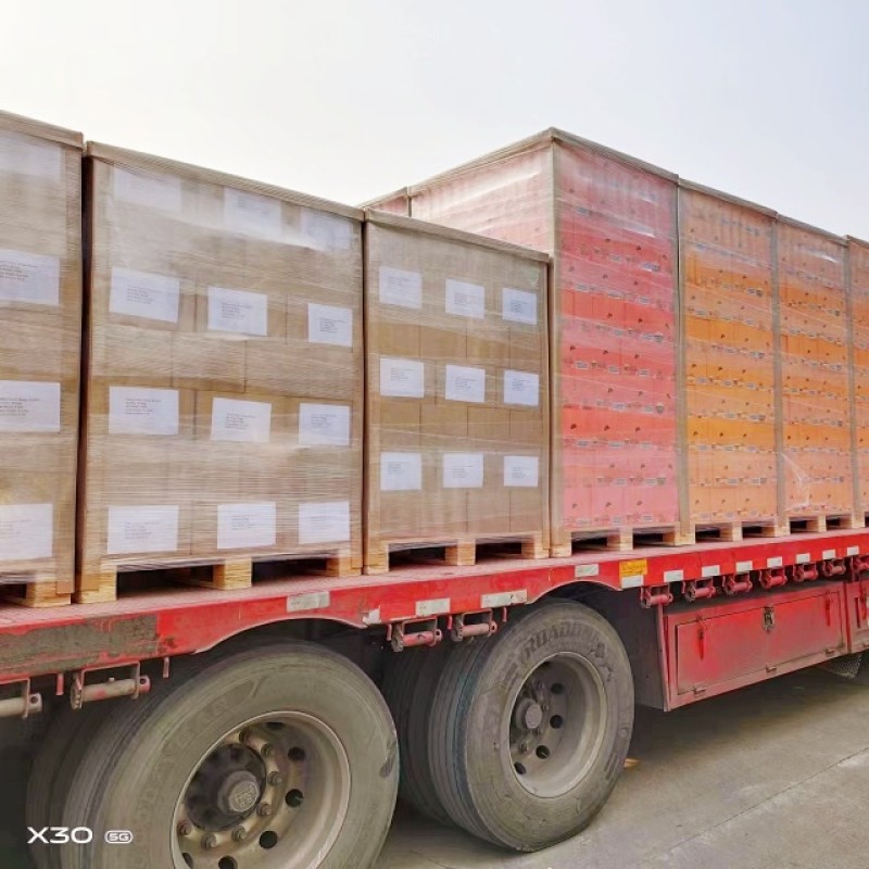 Healthy Food Dry Konjac Shirataki Rice Low Calorie  With Glucomanan Dry Konjak Reis Plant Based Food