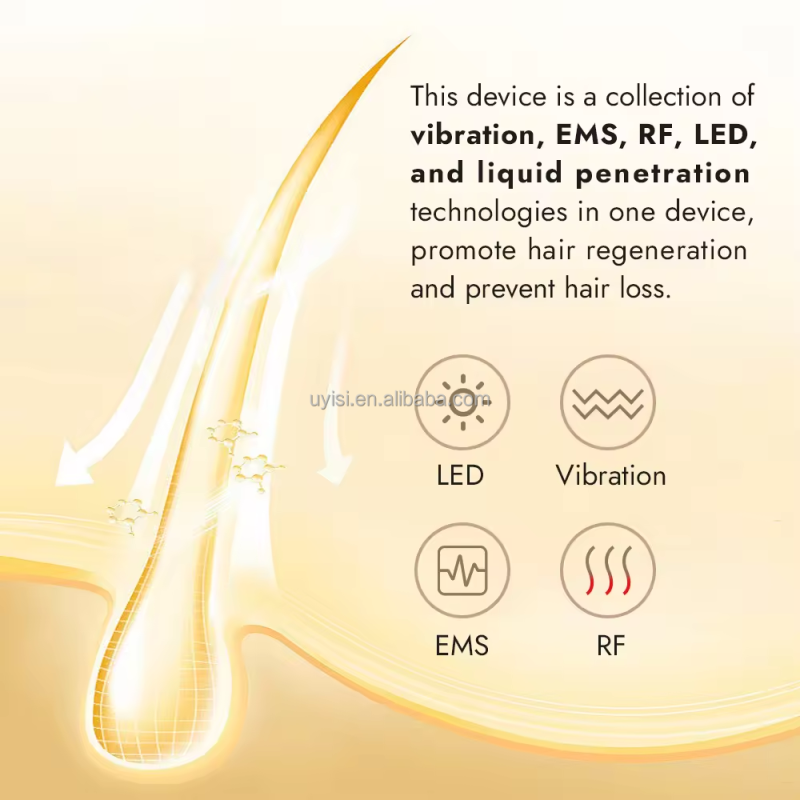 2-in-1 Anti-Aging Head Massage Device LED EMS Vibrating Facial Comb for Hair Growth Electric Scalp Essence Absorption Device