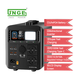 Backup Supply Factory - 700W 110V/220V Portable