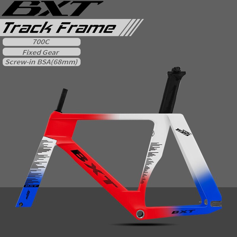 Track Bike Frame Manufacturer - OEM 700C Fixed Gear TRC-195 Carbon Track Frame