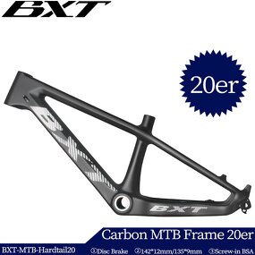 MTB Frame Manufacturer - OEM 20er Carbon Fiber Kids Frame 20inch Disc Brake