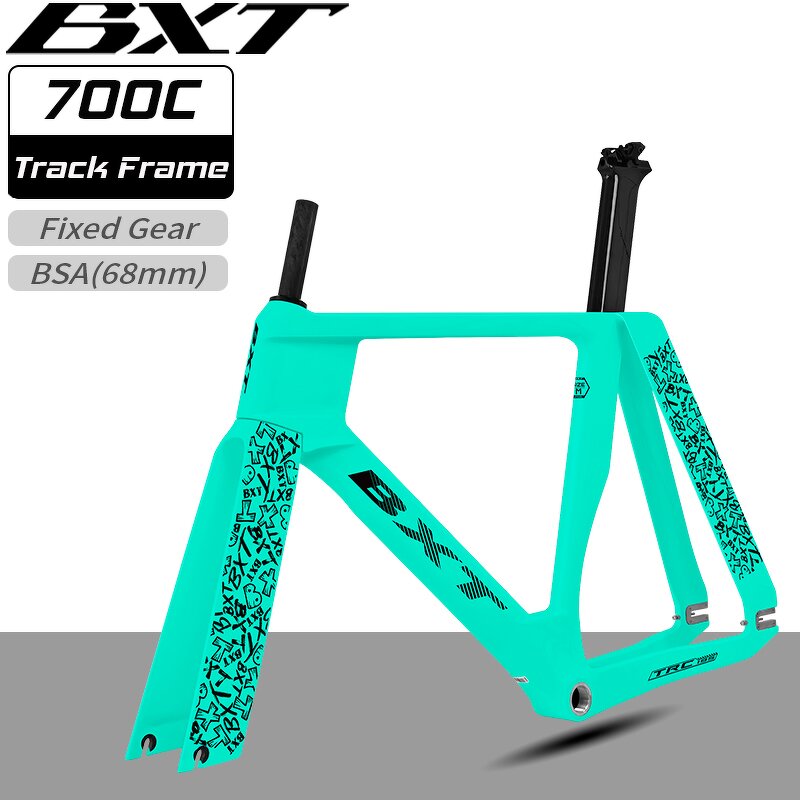Track Frame Manufacturer - OEM New Carbon TRC-195 700C Fixed Gear Single Speed