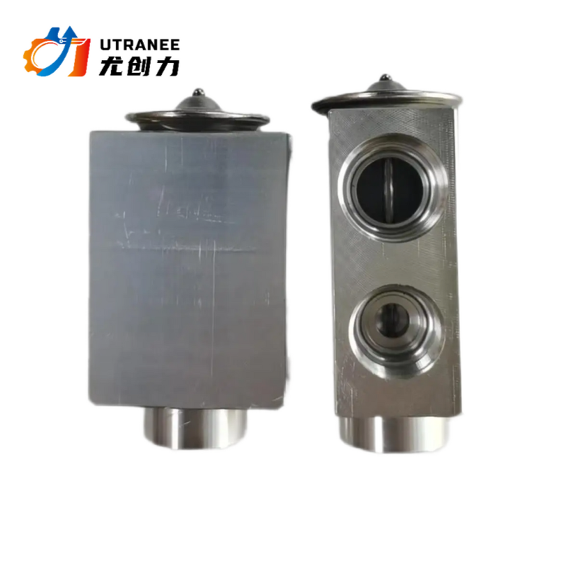 Utranee Auto AC Expansion Valve Factory - Good Price for Santana 3000