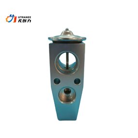 Auto AC Expansion Valve Manufacturer - SL-88689 Hot Sale for Cadillac