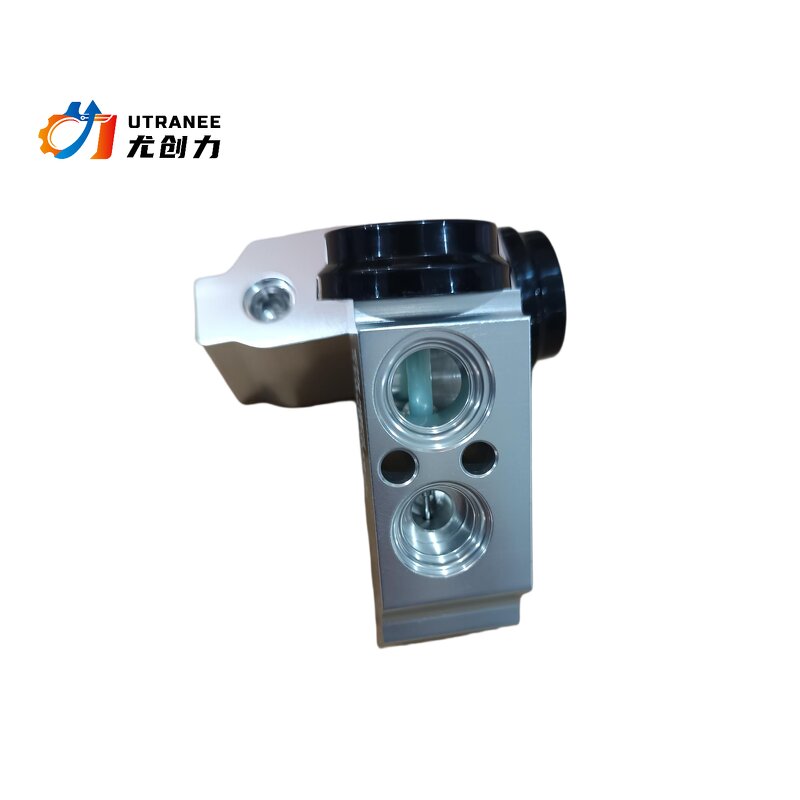 Auto AC Expansion Valve Manufacturer - Low Price for KIA Cerato