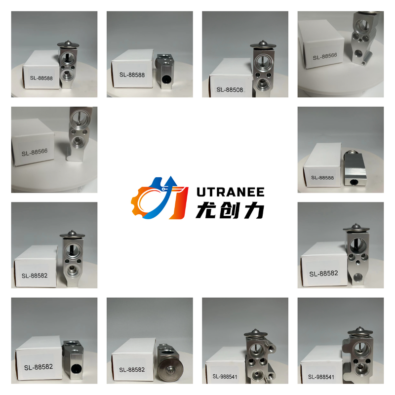 High Precision Auto AC Expansion Valve Factory - Suitable for BMW E90