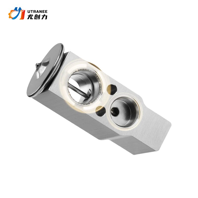 Auto AC Expansion Valve Manufacturer - For Lexus LX570 & Toyota Land Cruiser