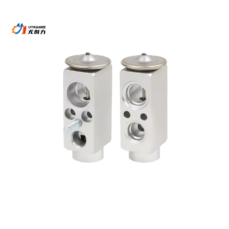 AC Expansion Valve Factory - For Mercedes Benz S203 CL203 W203
