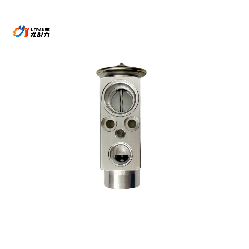 AC Expansion Valve Factory - For Mercedes Benz S203 CL203 W203