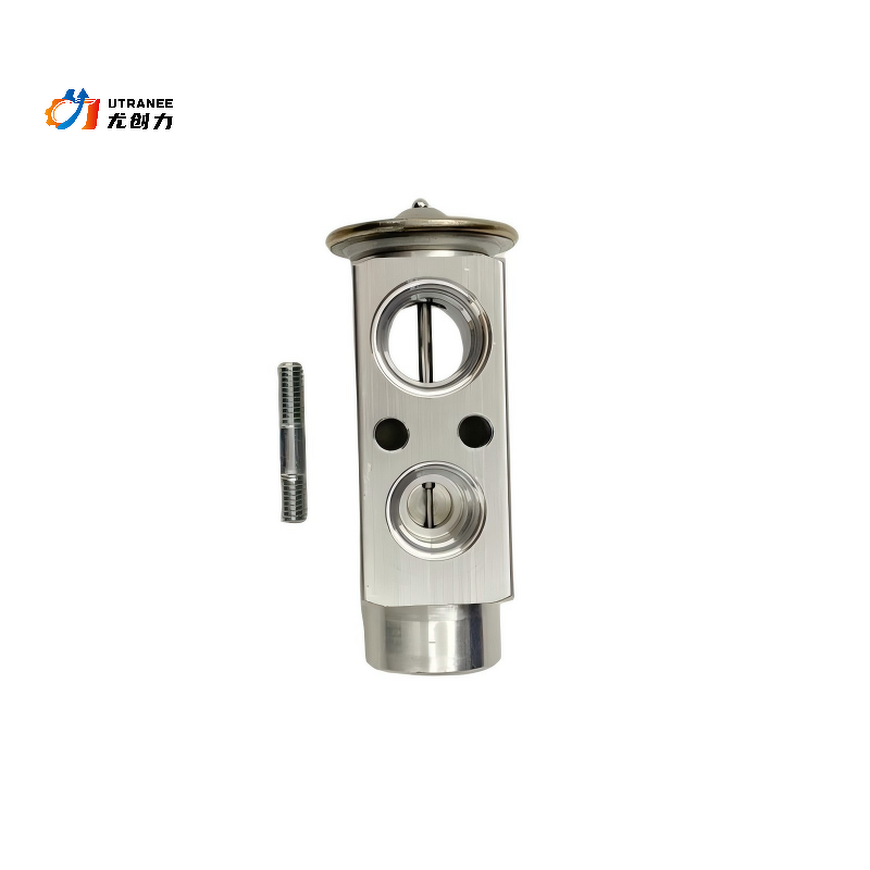 AC Expansion Valve Factory - For Mercedes Benz S203 CL203 W203