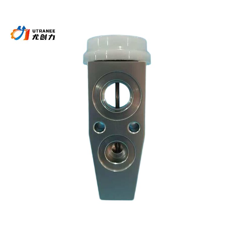 Auto AC Expansion Valve Manufacturer - OEM for Buick Regal & Cadillac SRX