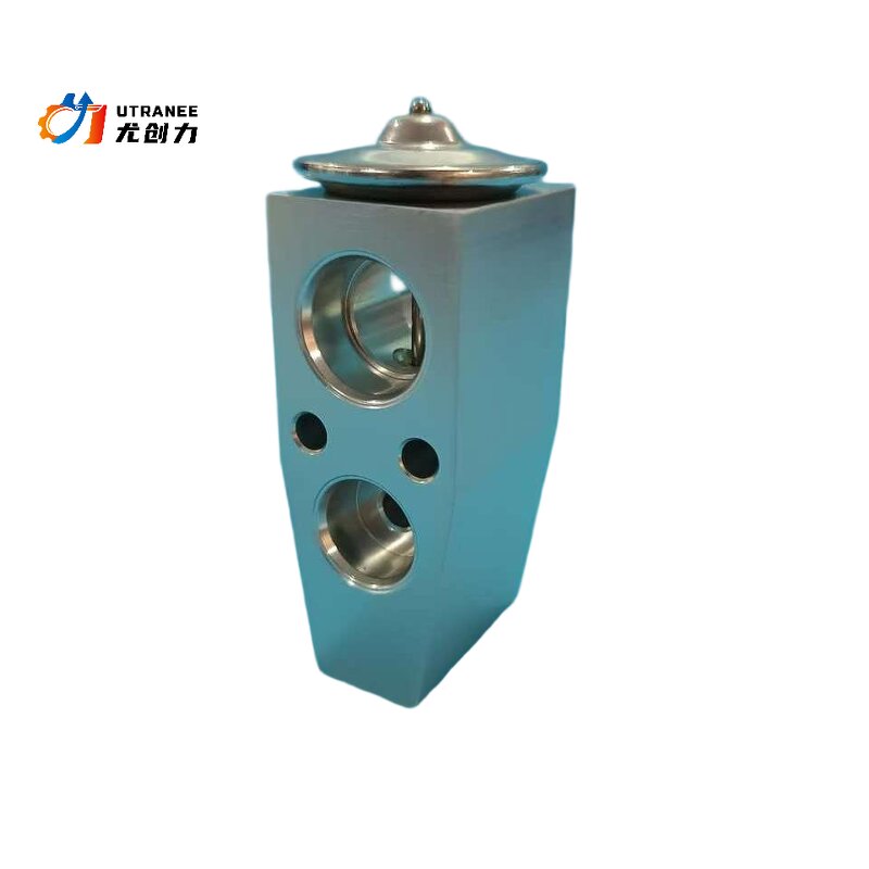 Auto AC Expansion Valve Manufacturer - SL-88689 Hot Sale for Cadillac