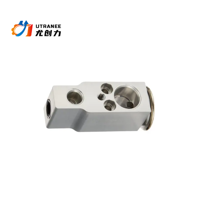 Utranee Auto AC Expansion Valve Manufacturer - For Honda OEM