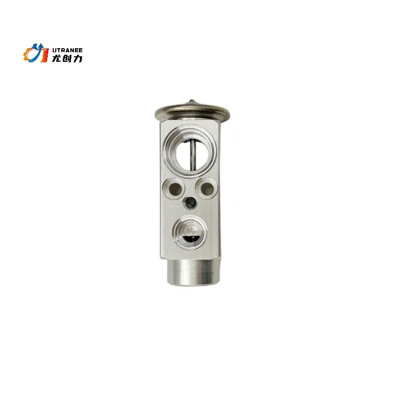 AC Expansion Valve Manufacturer - OE#1648300084 for Mercedes Benz W251