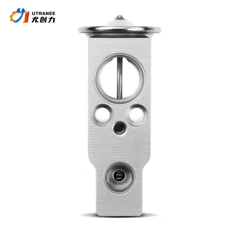 Auto AC Expansion Valve Manufacturer - For Lexus LX570 & Toyota Land Cruiser