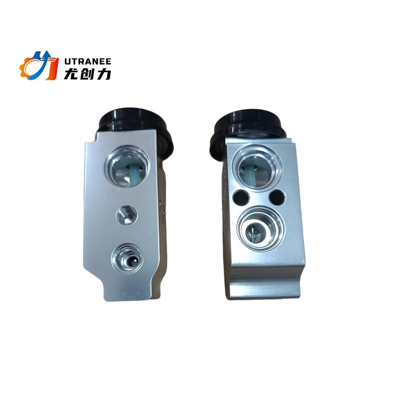Auto AC Expansion Valve Manufacturer - Low Price for KIA Cerato