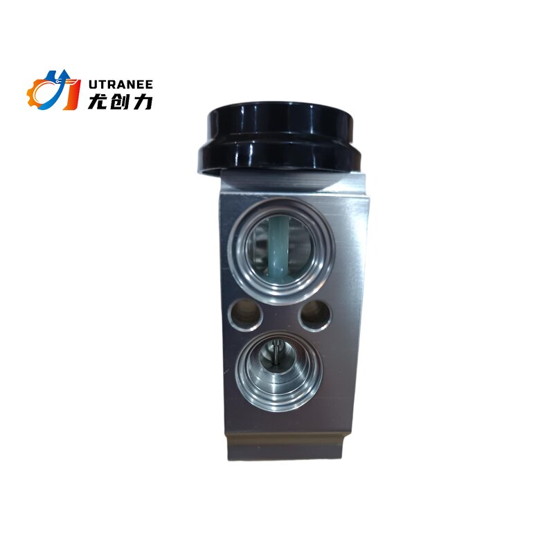 Auto AC Expansion Valve Manufacturer - Low Price for KIA Cerato