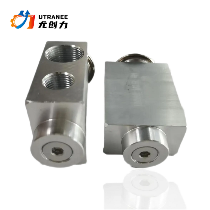 Utranee Auto AC Expansion Valve Factory - Good Price for Santana 3000