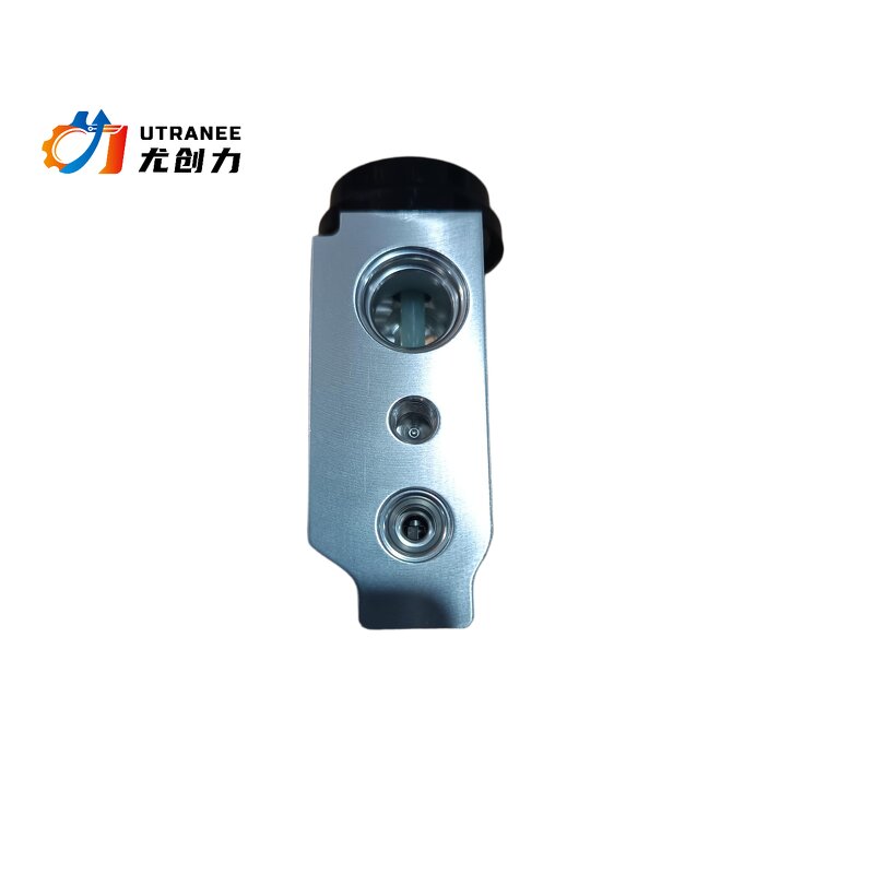 Auto AC Expansion Valve Manufacturer - Low Price for KIA Cerato