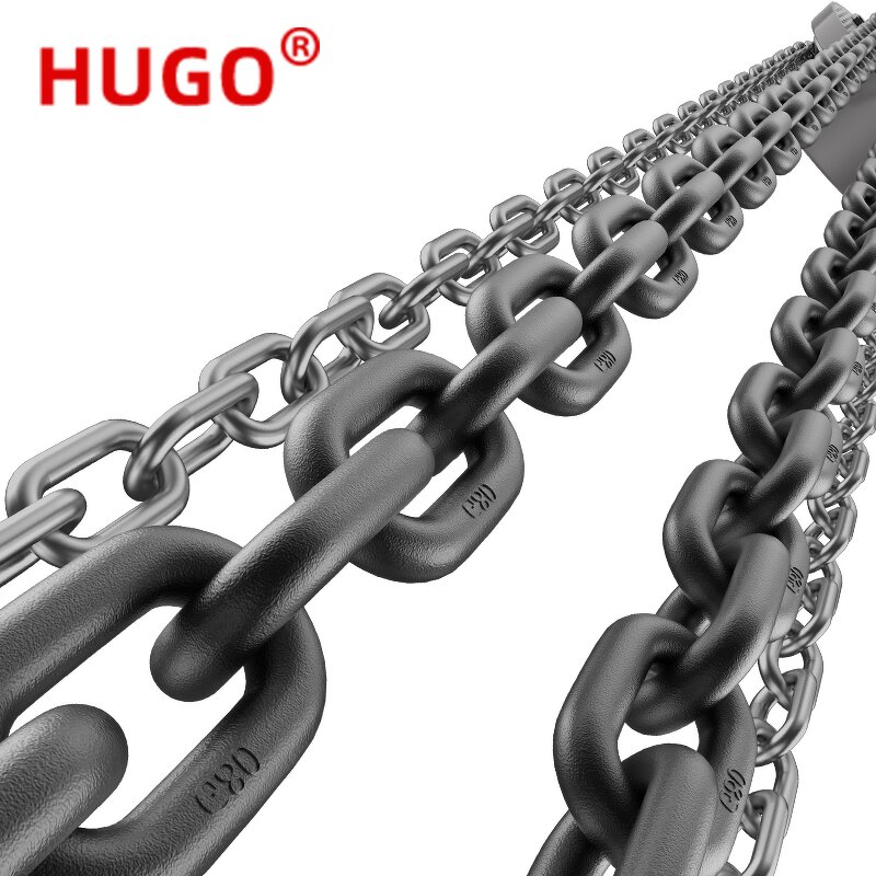 Hydraulic Chain Hoist Manufacturer - Construction Lift Hoist Elevator