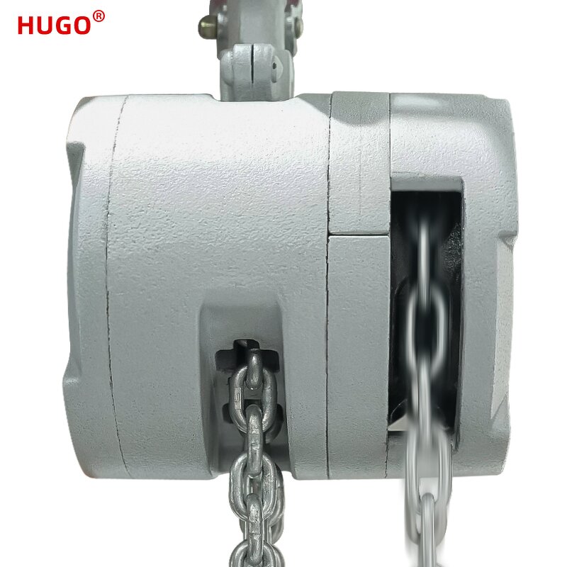 Manual Chain Hoist Factory - 1 Ton Hand Hoist for Lifting Platform