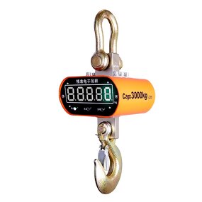 Digital Crane Scale Factory - 5000kg Hanging Weight Hook with Remote