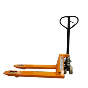 Hand Pallet Truck Manufacturer - Fashion Price for Goods Transport