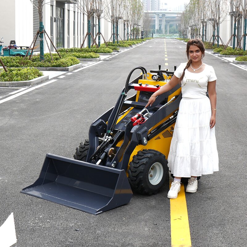 Mini Skid Steer Loader Manufacturer - EURO 5 Diesel Crawler Loader