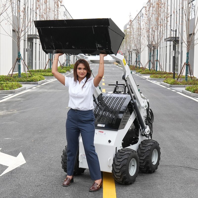 Mini Skid Steer Loader Supplier - CE/EPA Track Wheel Loader