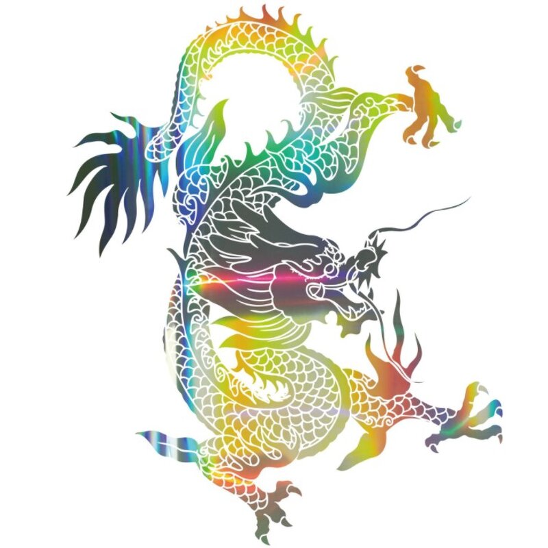 Rainbow Reflective Iron on Patches Factory - Custom Logo Printing Decal for Clothing