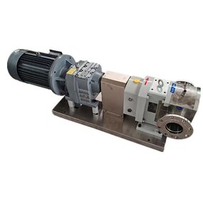 Rotor Pump Manufacturer - High Quality Gear Rotor Stator Pump