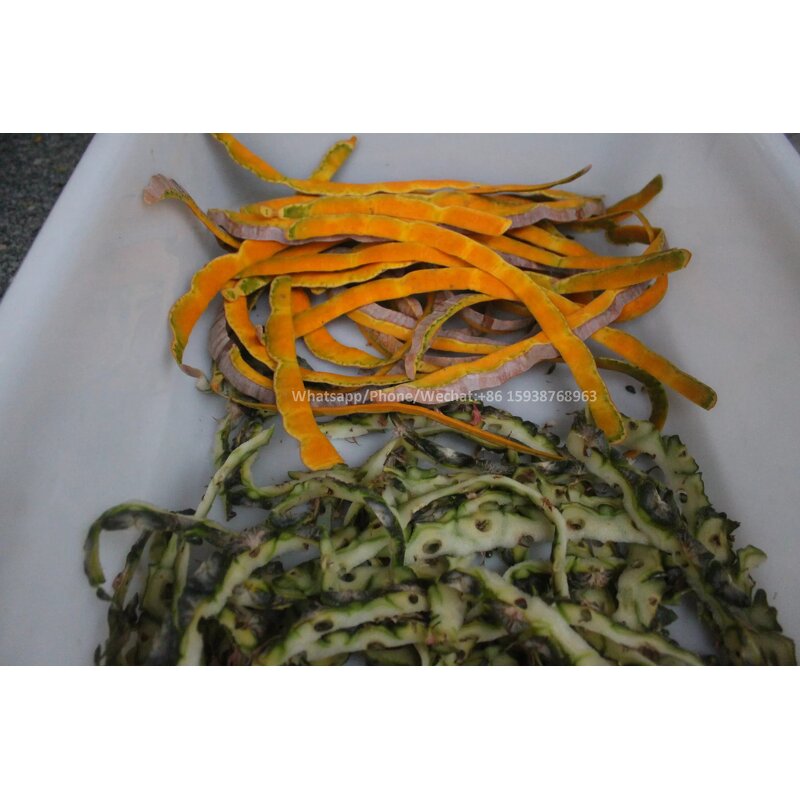 Coconut Peeler Manufacturer - Automatic Brown Skin Peeling Machinery