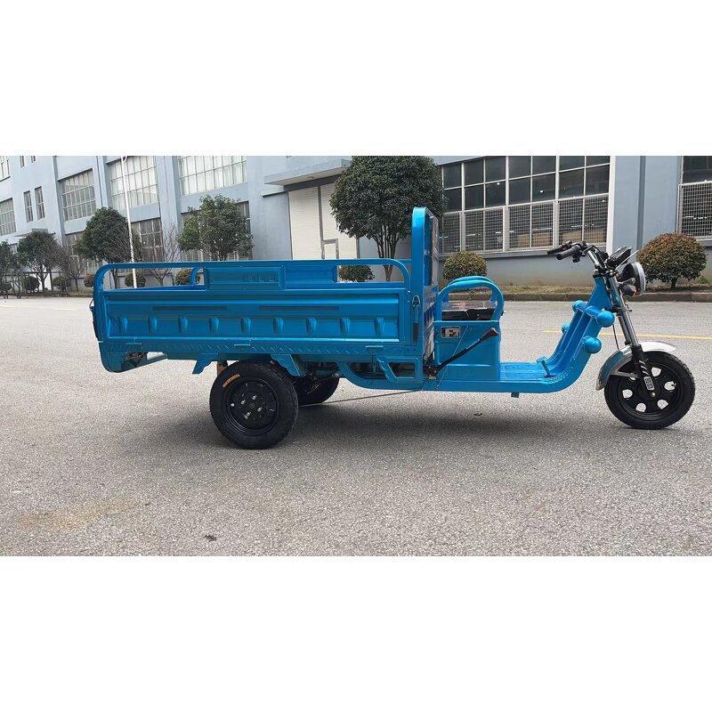 Electric Tricycle Manufacturer - 600-800kg Open Cargo Carrier