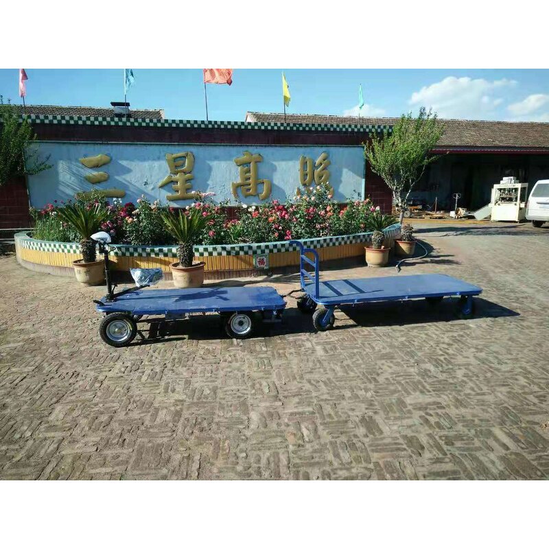 Electric Cart Factory - 1000kg Loading Capacity Platform Trolley