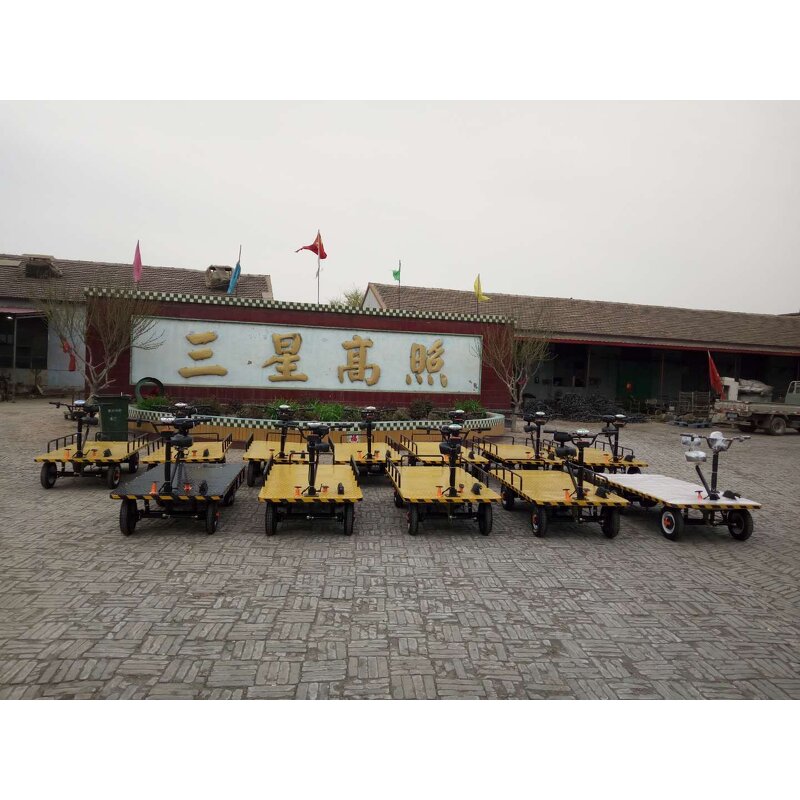 Electric Cart Factory - 1000kg Loading Capacity Platform Trolley