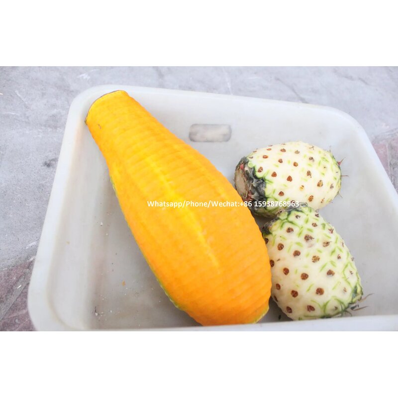 Coconut Peeler Manufacturer - Automatic Brown Skin Peeling Machinery