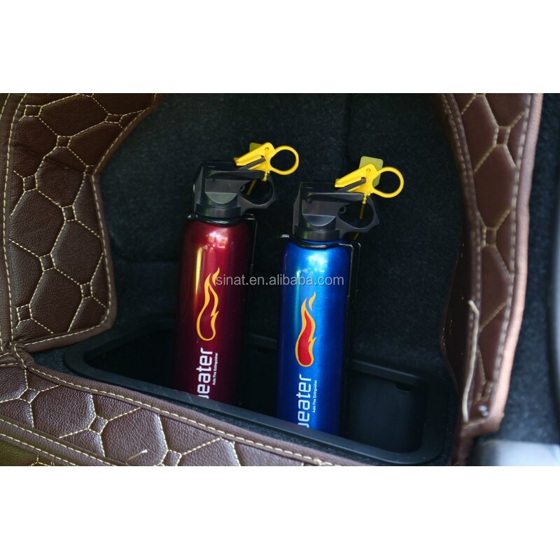 Dry Chemical Fire Extinguisher Manufacturer - OEM/ODM 500g Portable