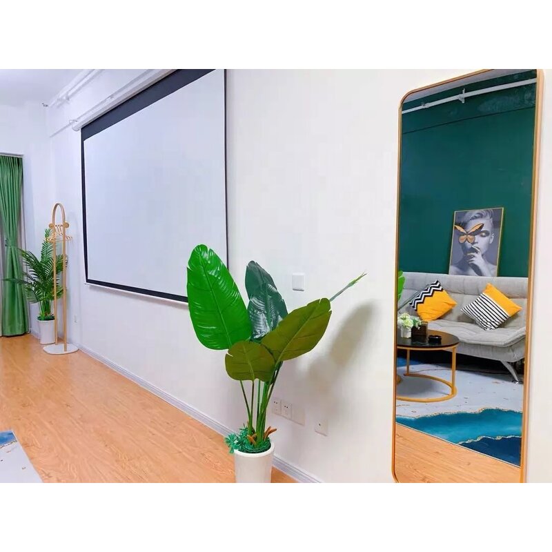 Electric Projection Screen Factory - 100-120 Inch 16:9 Wall Home Theater