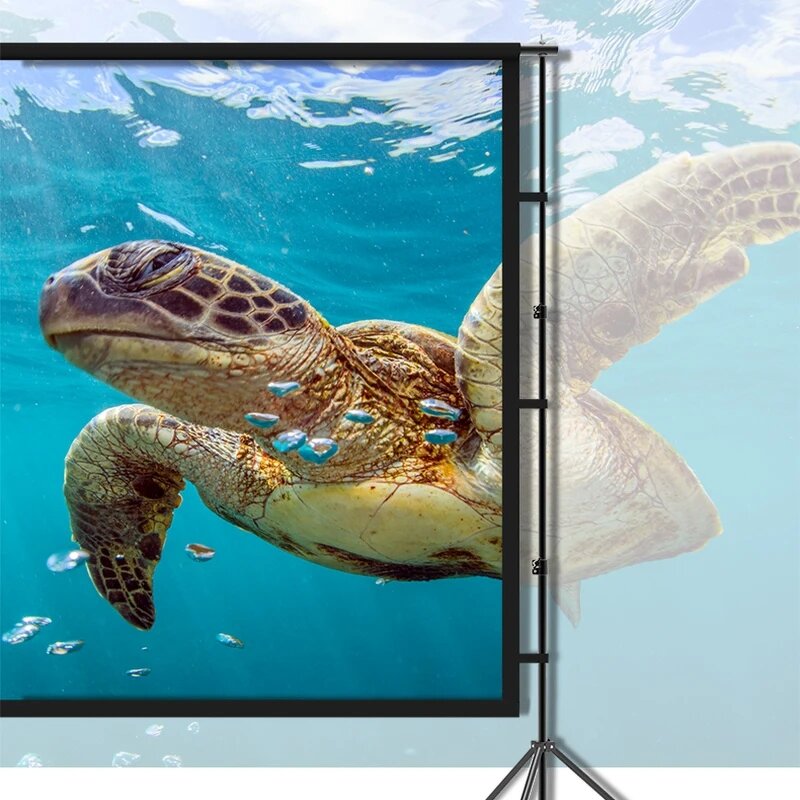 Portable Projection Screen Factory - 100 120in 16:9 4K HD Rear Front