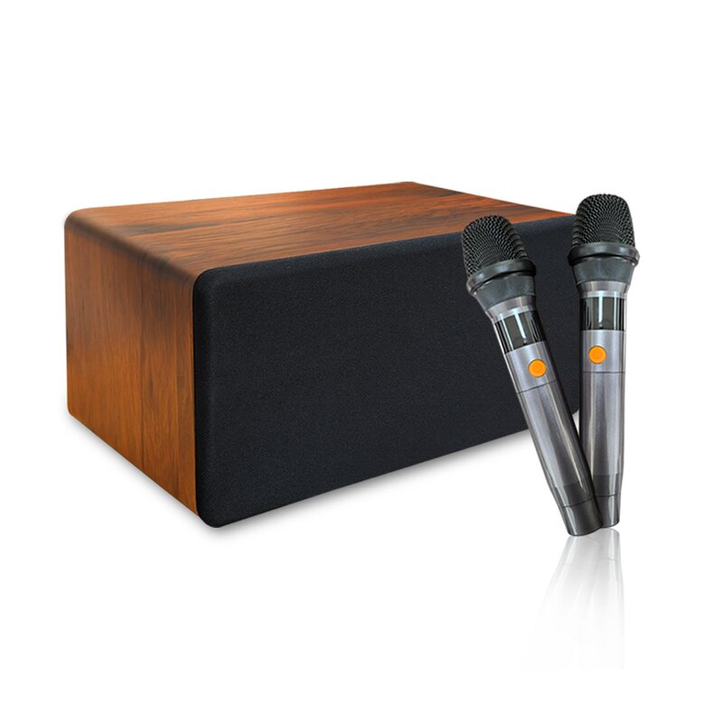 Speaker Manufacturer - N10 Smart Multimedia Portable Home Theater